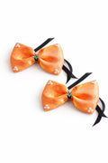 Peach Glow Bow Hair Pins Set